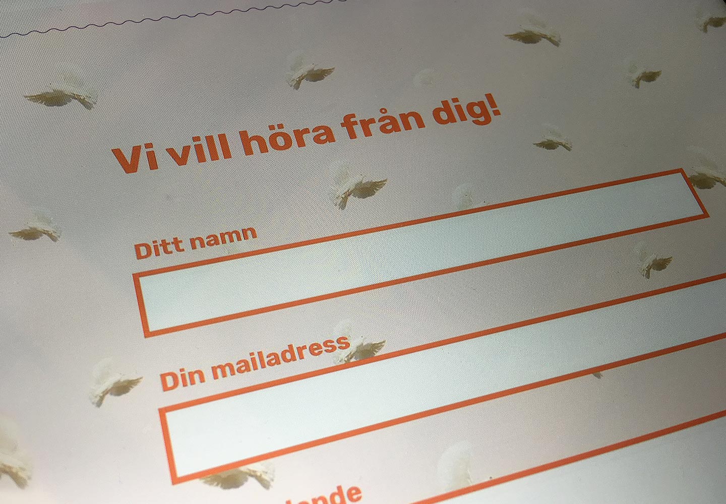 Bild från newcomersyouth.se