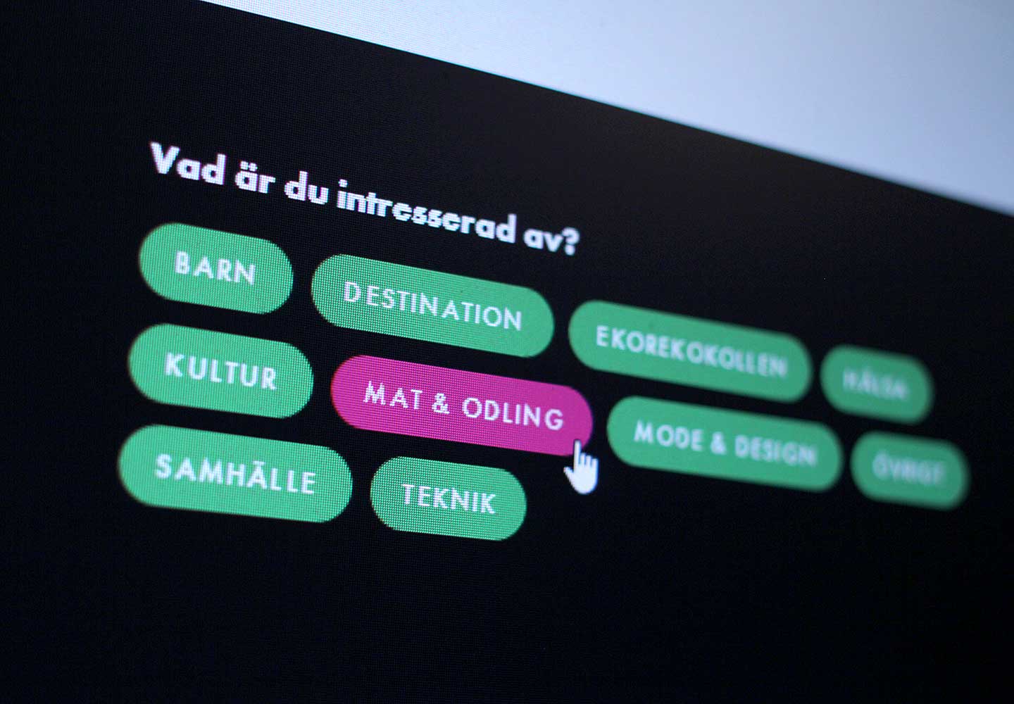 Bild från caminomagasin.se